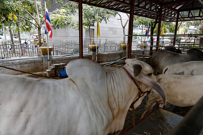 Wat Hua Lamphong-NOV13-020